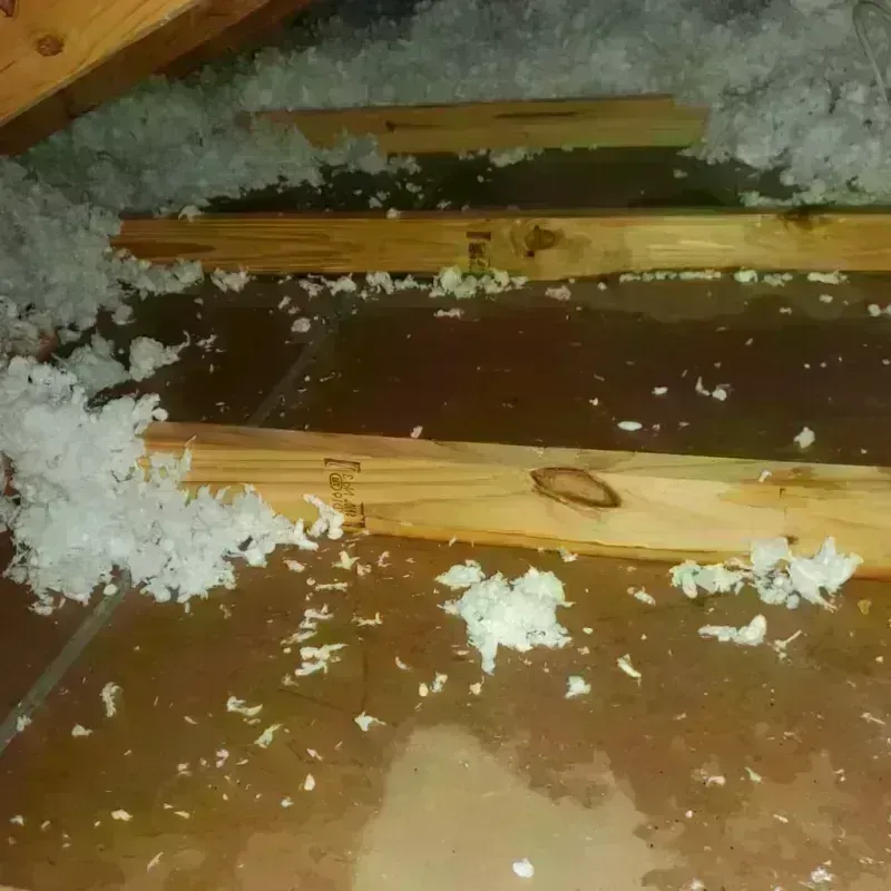 Attic Water Damage in Nebraska City, NE