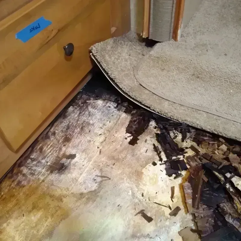 Wood Floor Water Damage in Nebraska City, NE